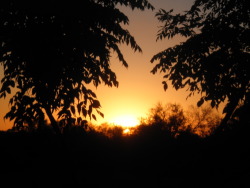 Thunder.jpg Thunder.jpg